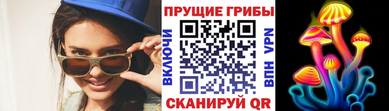 Галлюциногенные грибы мицелий  Новый Уренгой 