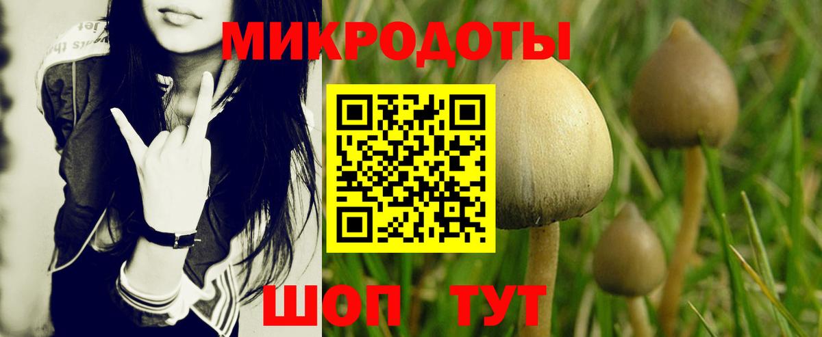 Галлюциногенные грибы GOLDEN TEACHER  Галлюциногенные грибы мухоморы  Новый Уренгой  Вход с VPN 